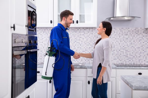 Naperville Pest Control Service