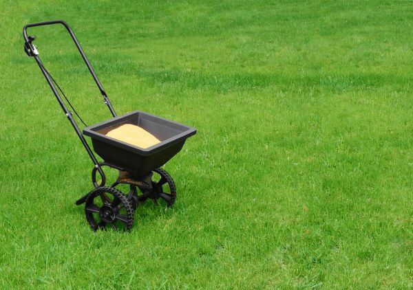 Naperville Lawn Treatment