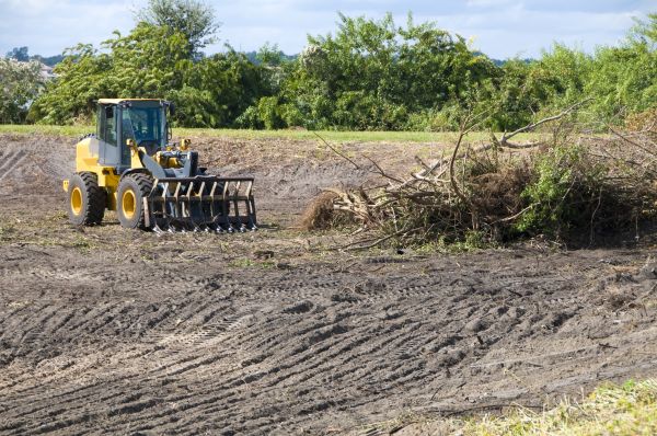 Naperville Land Clearing