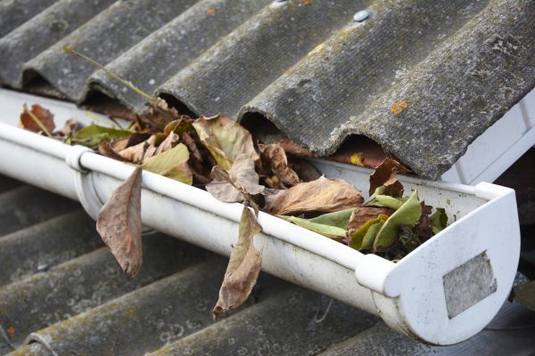 Naperville Gutter Cleaning